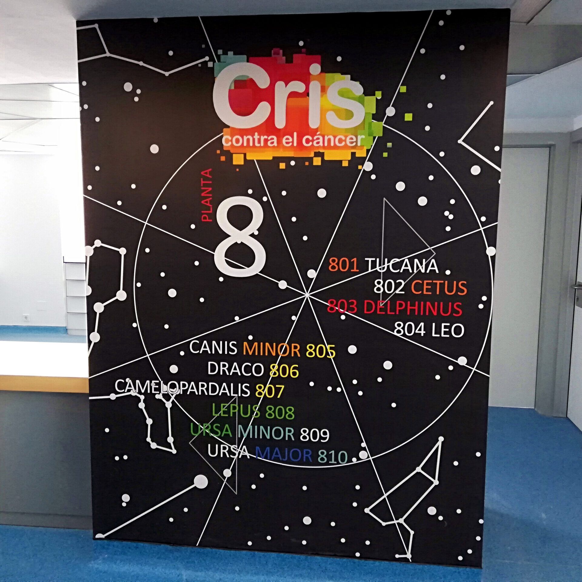 fundacion CRIS